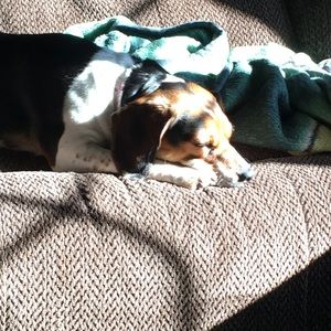 Meet your Posher, Candy